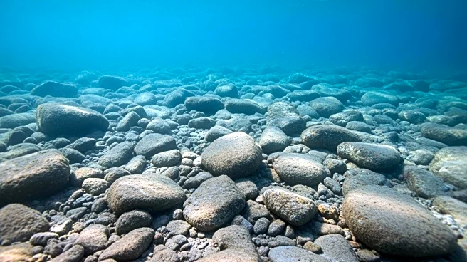 The Metals Co. Adjusts Seabed Mining Plans Following Environmental Study