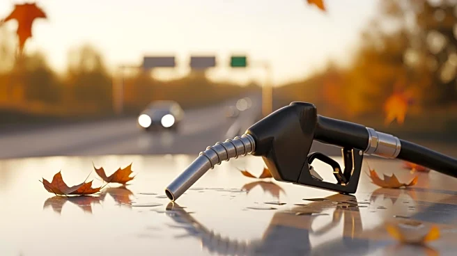 Minnesota Sees Lower Gas Prices Amid Holiday Season Due to Multiple Factors