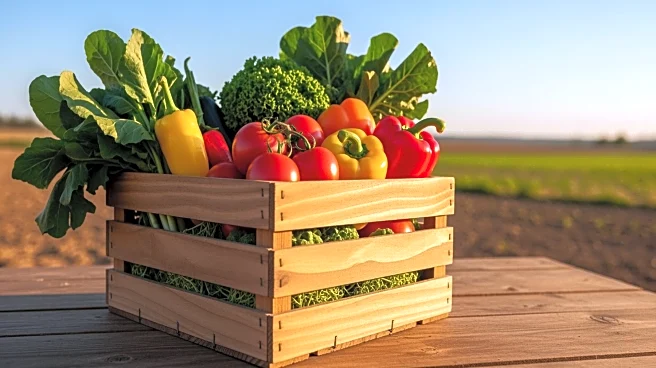 City of Yuma Hosts AGFest to Celebrate Local Agriculture and Community