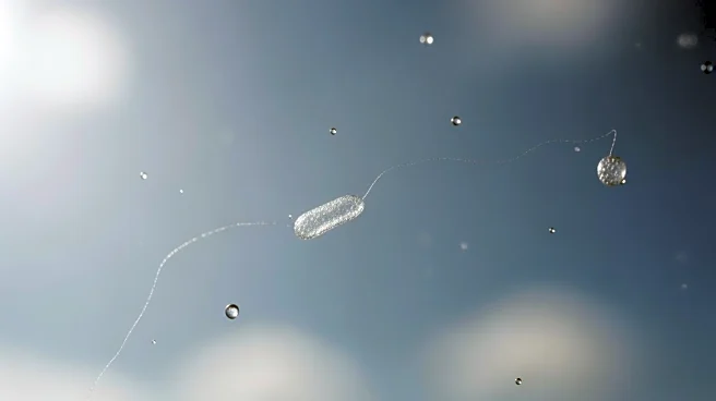 Scientific Reports Calls for Research on Atmospheric Microplastics and Nanoplastics