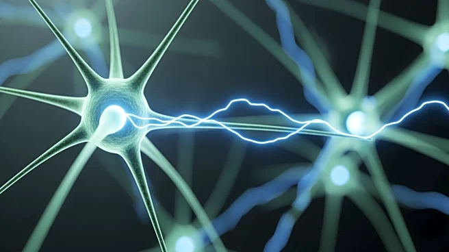 Genetic Study Proposes New Approach to ADHD Treatment by Calming Brain Activity