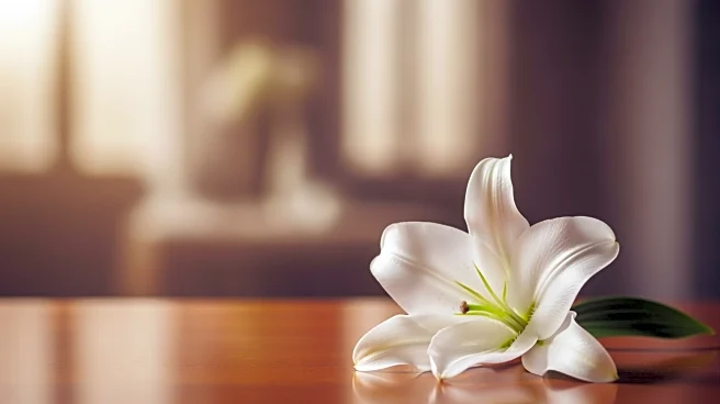 Frank G. Formicola, Jr. Passes Away at 91, Funeral Arrangements Announced