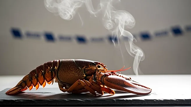 UK Government Plans to Ban Live Boiling of Crustaceans by 2030 Due to Animal Welfare Concerns