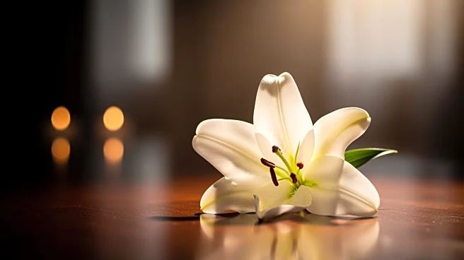 Fredric S. Salsburg's Passing and Memorial Arrangements Announced