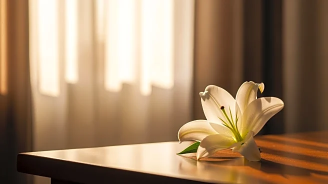 Barbara Henry's Passing: A Life of Service and Community Engagement Remembered