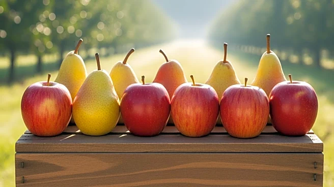 Agriculture Minister Reviews Development Plans for Sopore Fruit Mandi in Kashmir