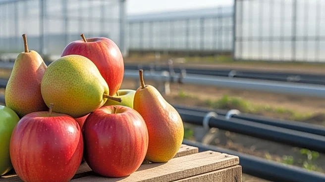 Agriculture Minister Reviews Development Plans for Sopore Fruit Mandi, Aiming for Modernization