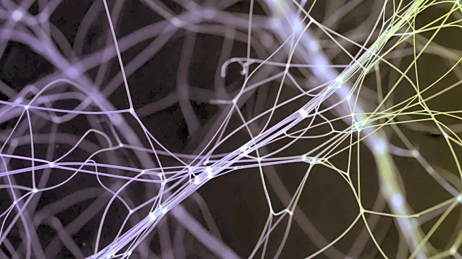 New Imaging Technique Reveals Hidden Fiber Networks in Human Tissues