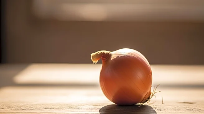 Lack of Food Irradiation Facilities Causes Onion Price Volatility in Bangladesh