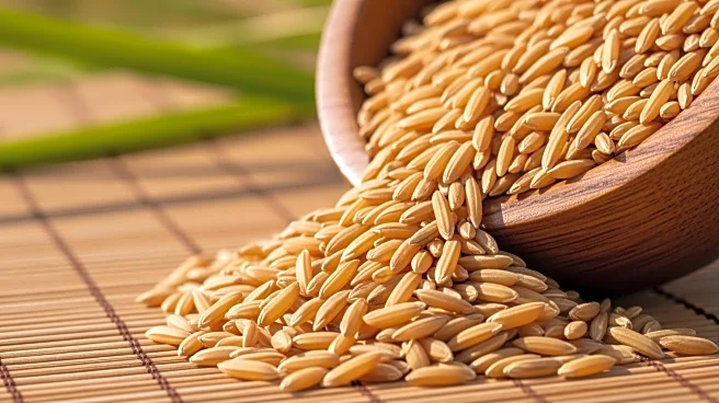 India Surpasses China as World's Largest Rice Producer, Announces Agriculture Minister