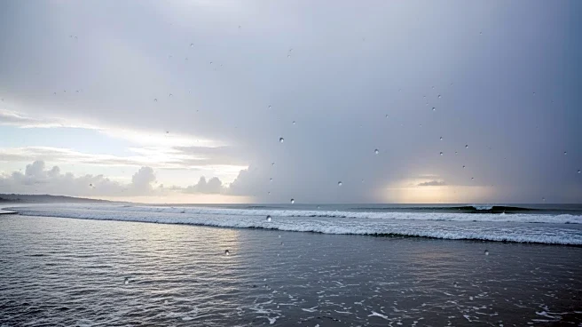 Southern California Braces for Sunday Showers with Diminishing Rain Chances