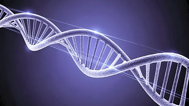 CRISPR Technology Enhanced by Near-Infrared Light for Precise Gene Editing