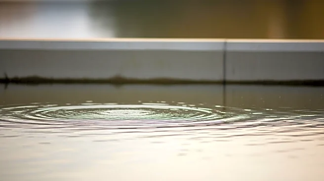 Small Laude Denies Husband's Involvement in Flood Control Controversy