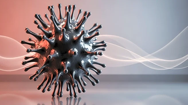 CDC Reports Sharp Increase in Flu Cases Across the U.S. Amid New Variant