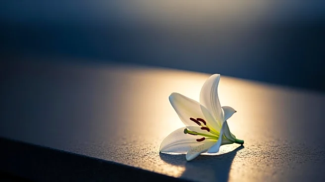 Janet Houser Passes Away After Battle with Brain Cancer