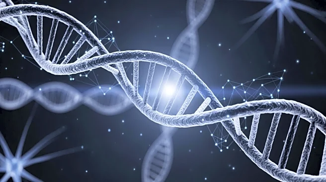 CRISPR Study Identifies Key Genes in Brain Development and Disorder