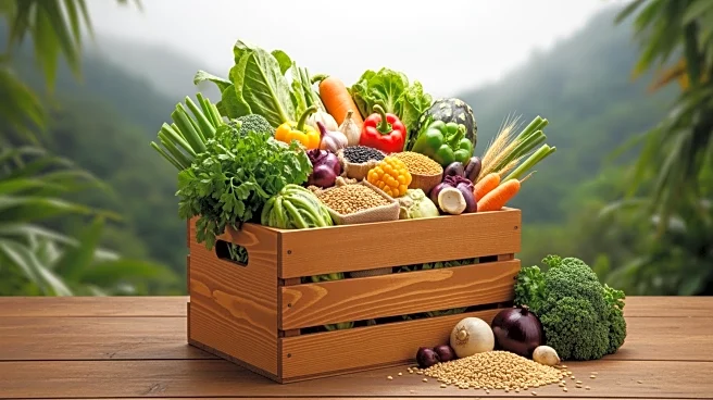 Idaho's Trade Mission to Vietnam Expands Agricultural Opportunities