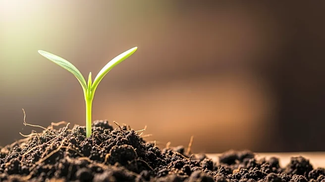 Alana Hadid Joins 'Seeds For Liberation' Documentary as Executive Producer