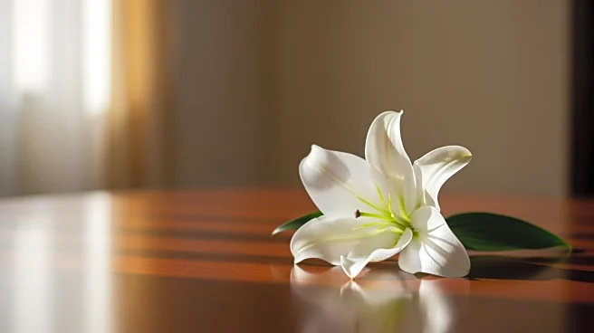 Obituary Announcement: Sammy D. Stephenson's Passing and Funeral Arrangements