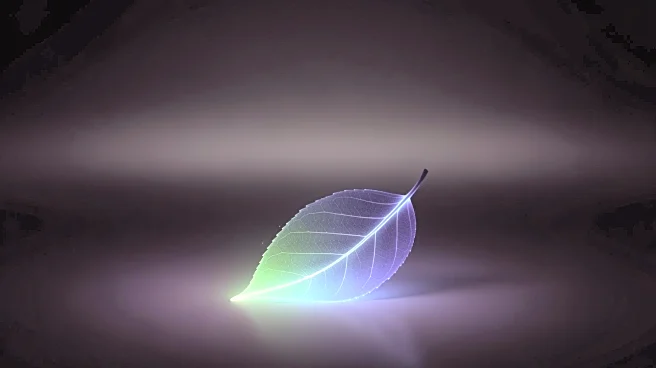 Study Reveals Living Organisms Emit Faint Light That Ceases Upon Death