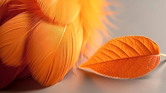 Study Reveals Orange Pigments in Birds and Human Redheads Prevent Cellular Damage