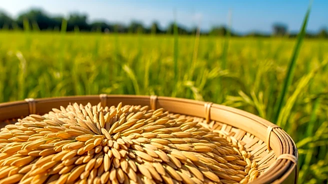 Indonesian President Announces Food Self-Sufficiency Achieved by 2025