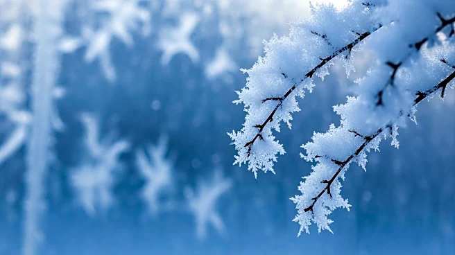 Winter Storms Disrupt New England with Snow, Ice, and School Closures