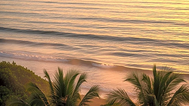 South Florida Experiences Warm Afternoon Following Foggy Morning