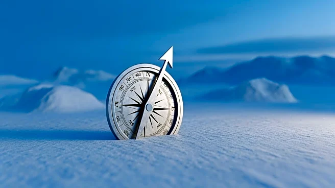 Danish EU Parliamentarian Criticizes US Military Presence in Arctic