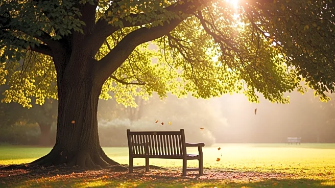 Lynn Doyle, Beloved Yorkville Resident, Passes Away at 65