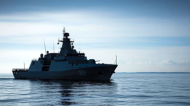 Russia's New Baltic Patrol Ship Voyevoda Raises Questions About Its Intended Use