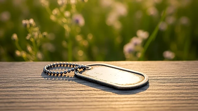 Discovery of US Air Force Veteran's Dog Tag in England Reunites Family