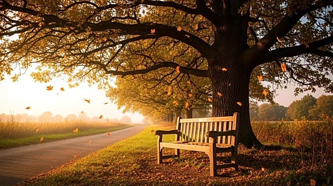 Samantha Austin, Longtime Resident of Macon County, Passes Away at 86