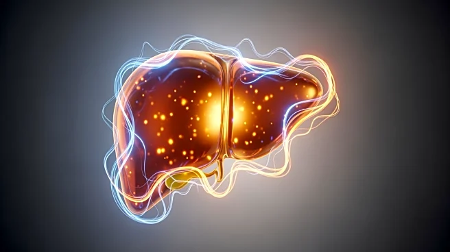 Study Reveals iRhom2's Role in Inflammation and Hepatocyte Senescence During Liver Injury