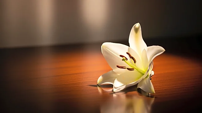 Sean Swayze, Brother of Patrick Swayze, Passes Away at 63