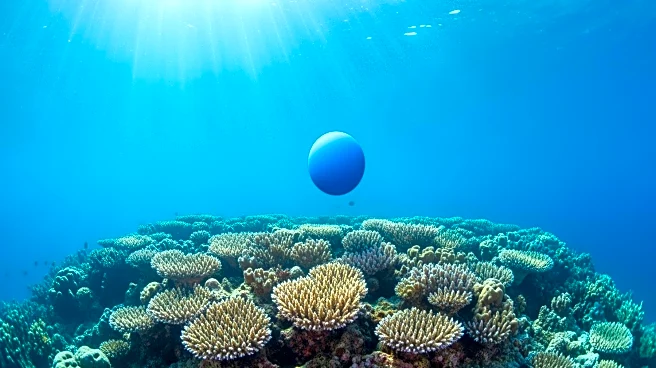 Researchers Propose 'Blue Spots' for Enhanced Marine Conservation and Economic Growth