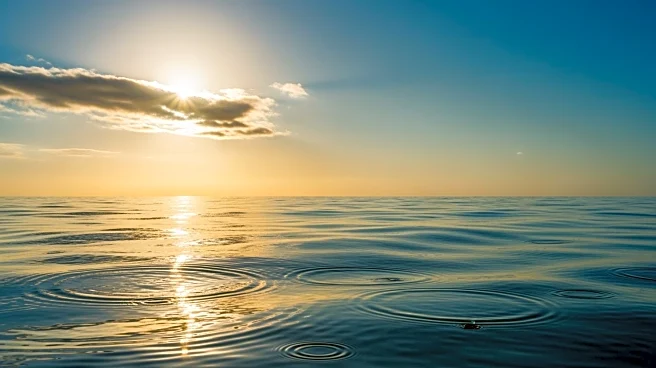 South Florida Weather Forecast: Stray Showers and Warm Temperatures Expected