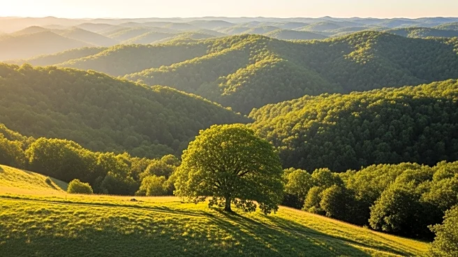 Tennessee Landowners and Conservation Groups Preserve Thousands of Acres in 2025