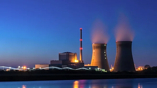 Japan's Nuclear Power Plant Restart Sparks Energy Debate