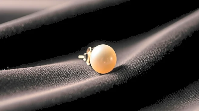 Vermeer’s 'Girl with a Pearl Earring' to Travel to Japan Amid Museum Renovations