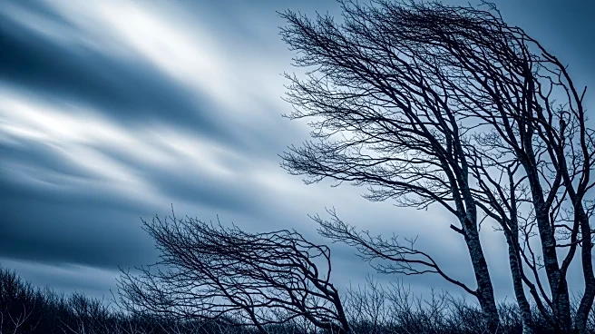 Cold Front to Bring Windy and Chilly Weather to San Antonio This Weekend