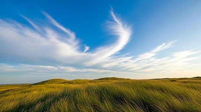 Clear Skies and Breezy Conditions Expected in San Francisco Area