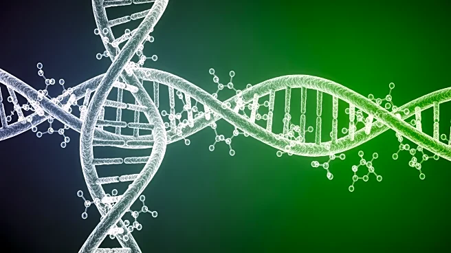 New CRISPR Mechanism Discovered, Expanding Gene Editing Capabilities