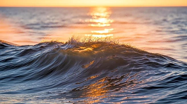 Study Reveals Record Heat Absorption by Oceans in 2025, Highlighting Climate Change Impact