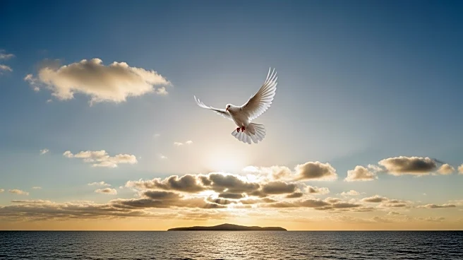 President Trump Cancels Second Wave of Attacks on Venezuela Following Cooperation