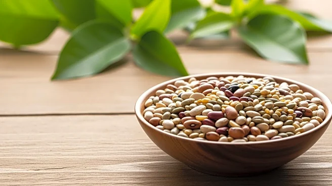 Study Reveals High-Protein Diets as Effective Defense Against Cholera