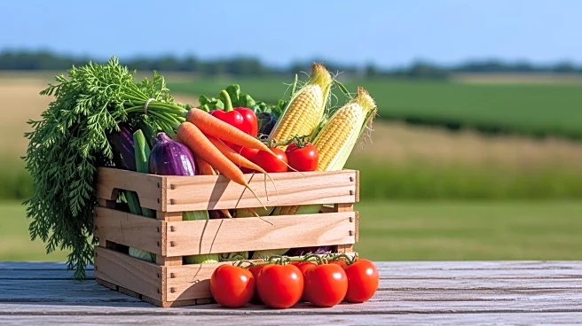 Michigan Farmer Kathryn Christie Engages Kids with Agriculture Education Program