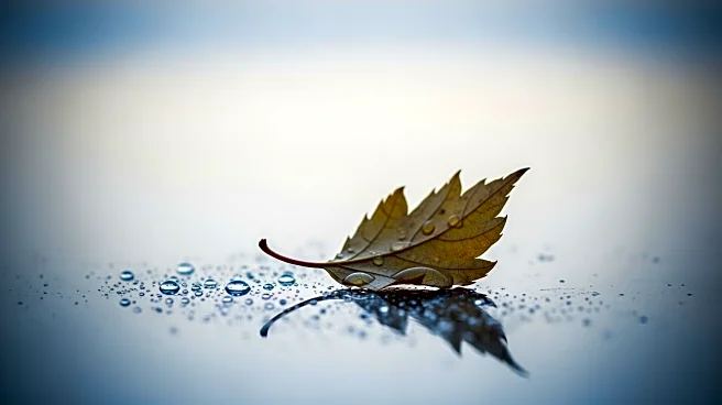 Flu Season Claims Life of New Jersey Child Amid Nationwide Surge