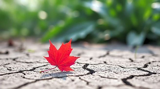 Canadian Red Cross Launches Appeal for Pimicikamak Cree Nation Crisis