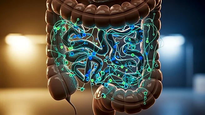 Insulin Resistance Influences Gut Microbiota Changes Post-Bariatric Surgery in Severe Obesity